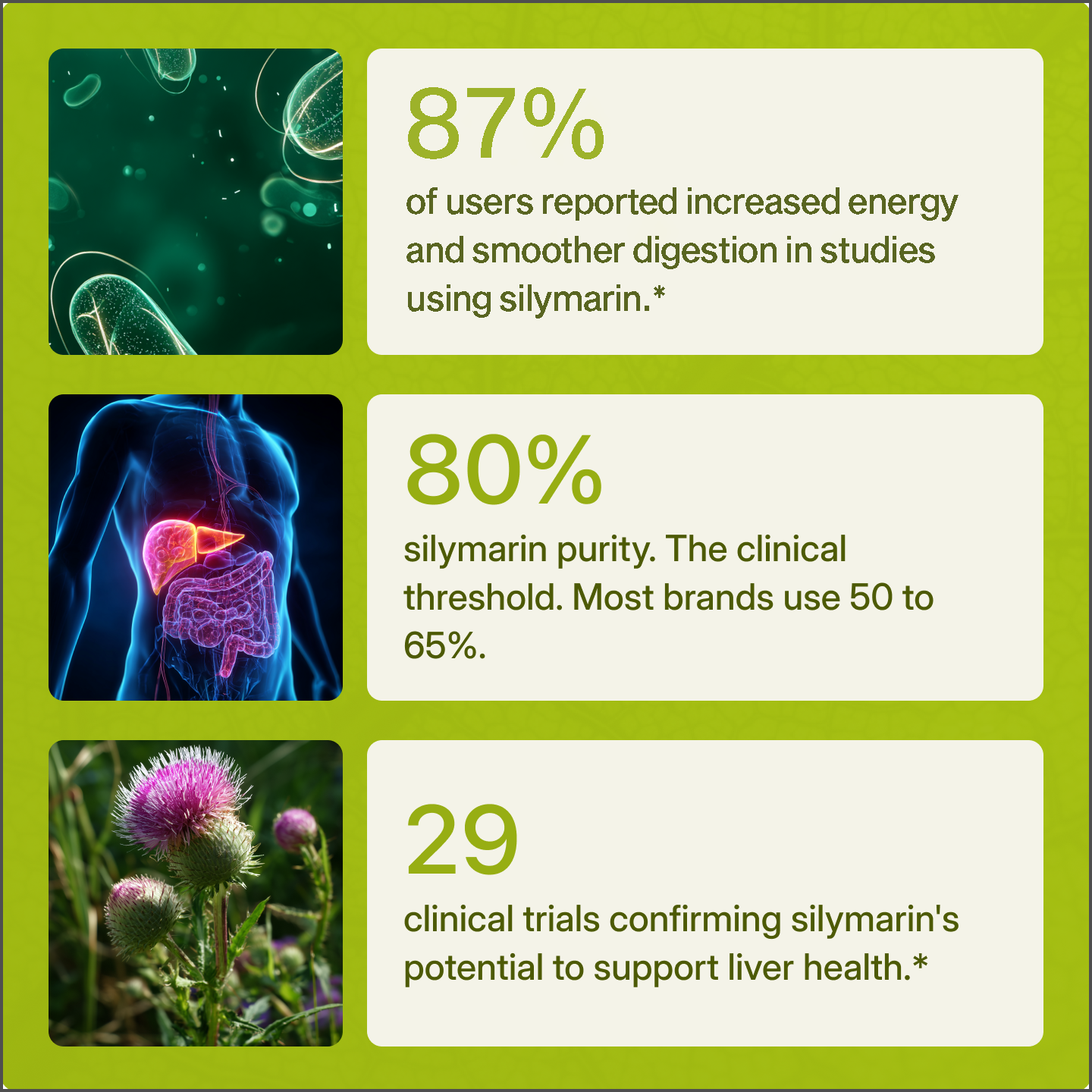 SYLL - Milk Thistle Detox