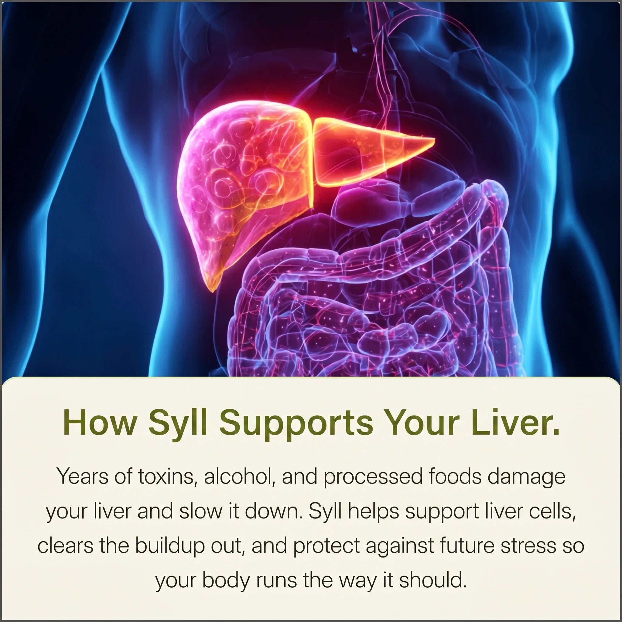 SYLL - Milk Thistle Detox